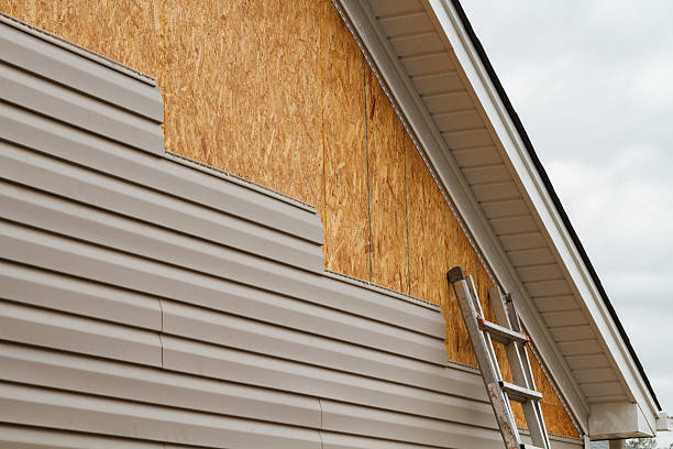 Professional Siding Repair technician working in Jefferson, TX